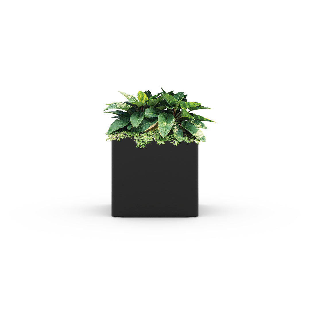 Wall Mounted Planters _5squarewallmountedplanter